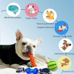 Beiker squeaky ball toy engages dogs with cognitive play and noise
