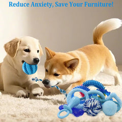 Beiker teething rings blue help soothe gums during puppy teething sessions.