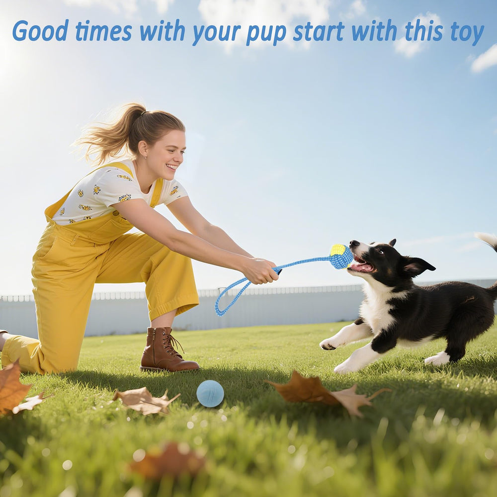 Beiker treat-dispensing toy blue encourages slow treats and mental engagement.