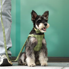Beirui collar with removable bowtie in green plaid