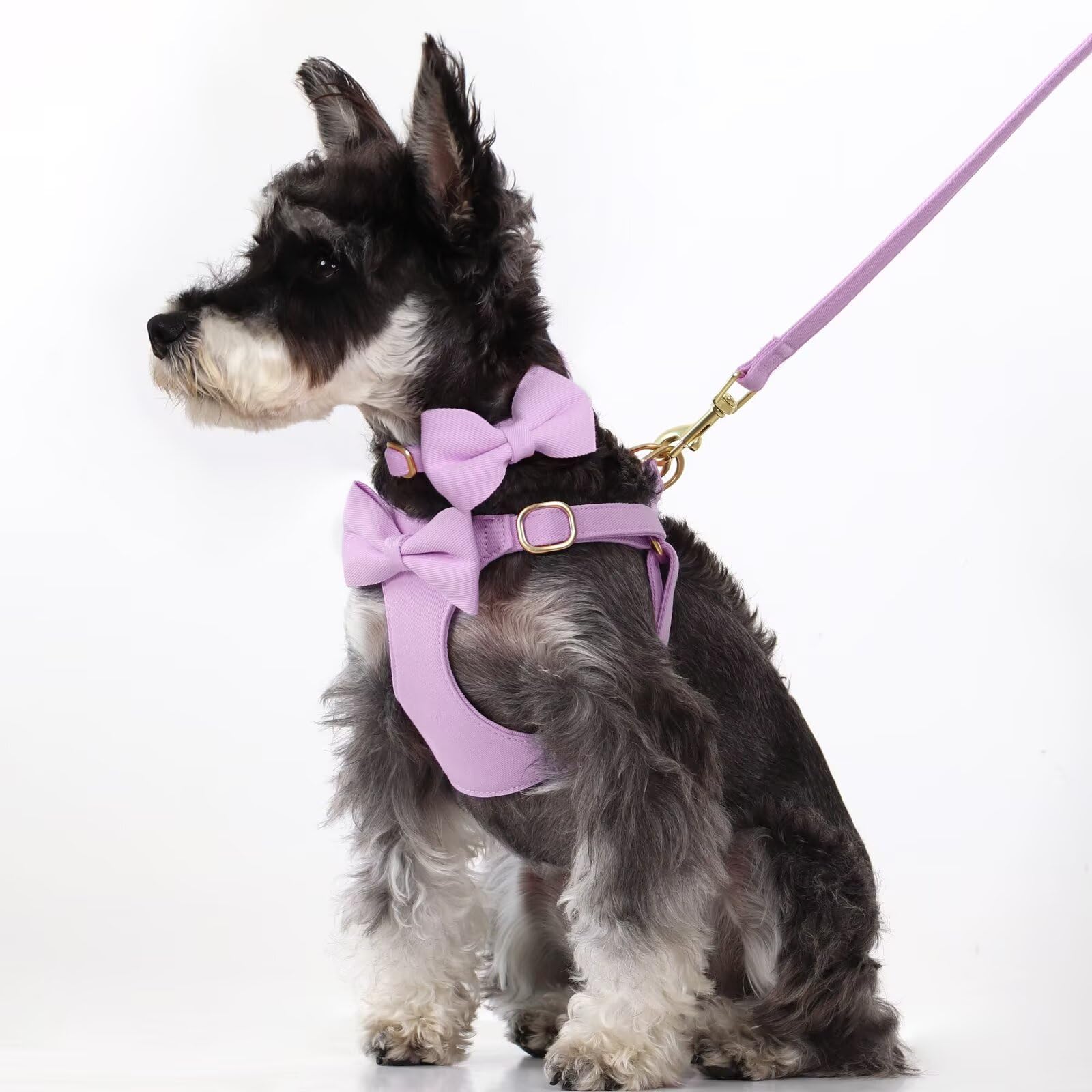 Beirui durable metal buckles ensure secure fits on active puppies.