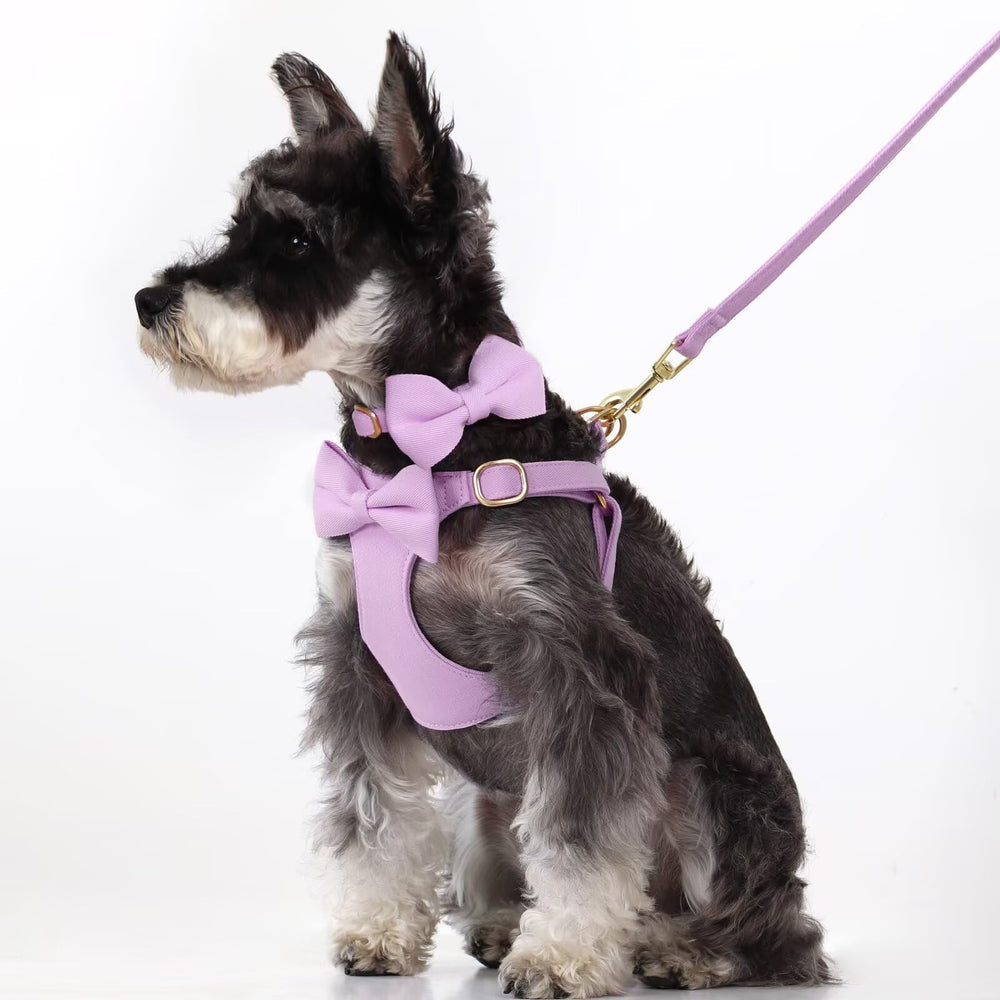 Beirui durable metal buckles ensure secure fits on active puppies.