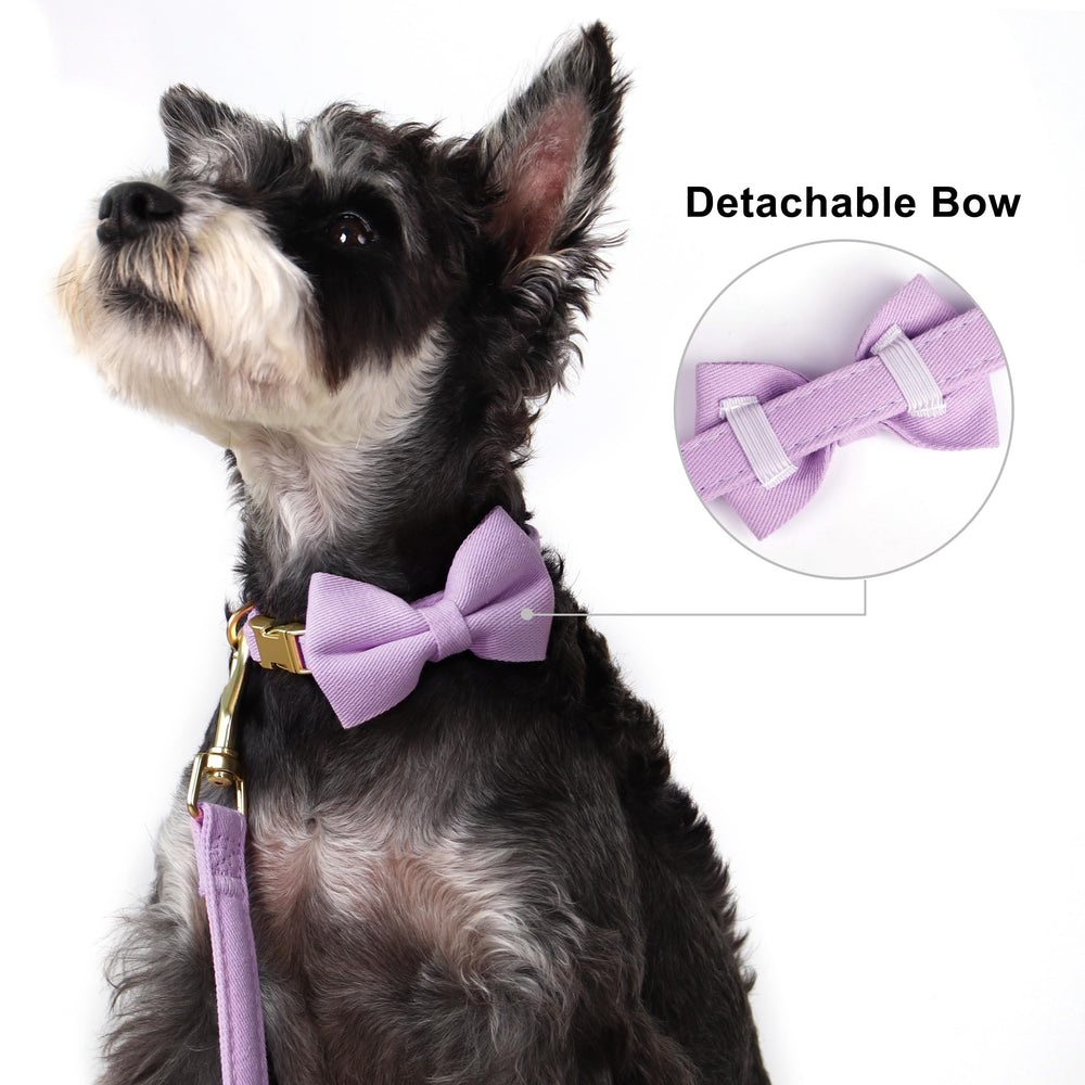 Beirui five color options shown for stylish tiny-dog outfits.