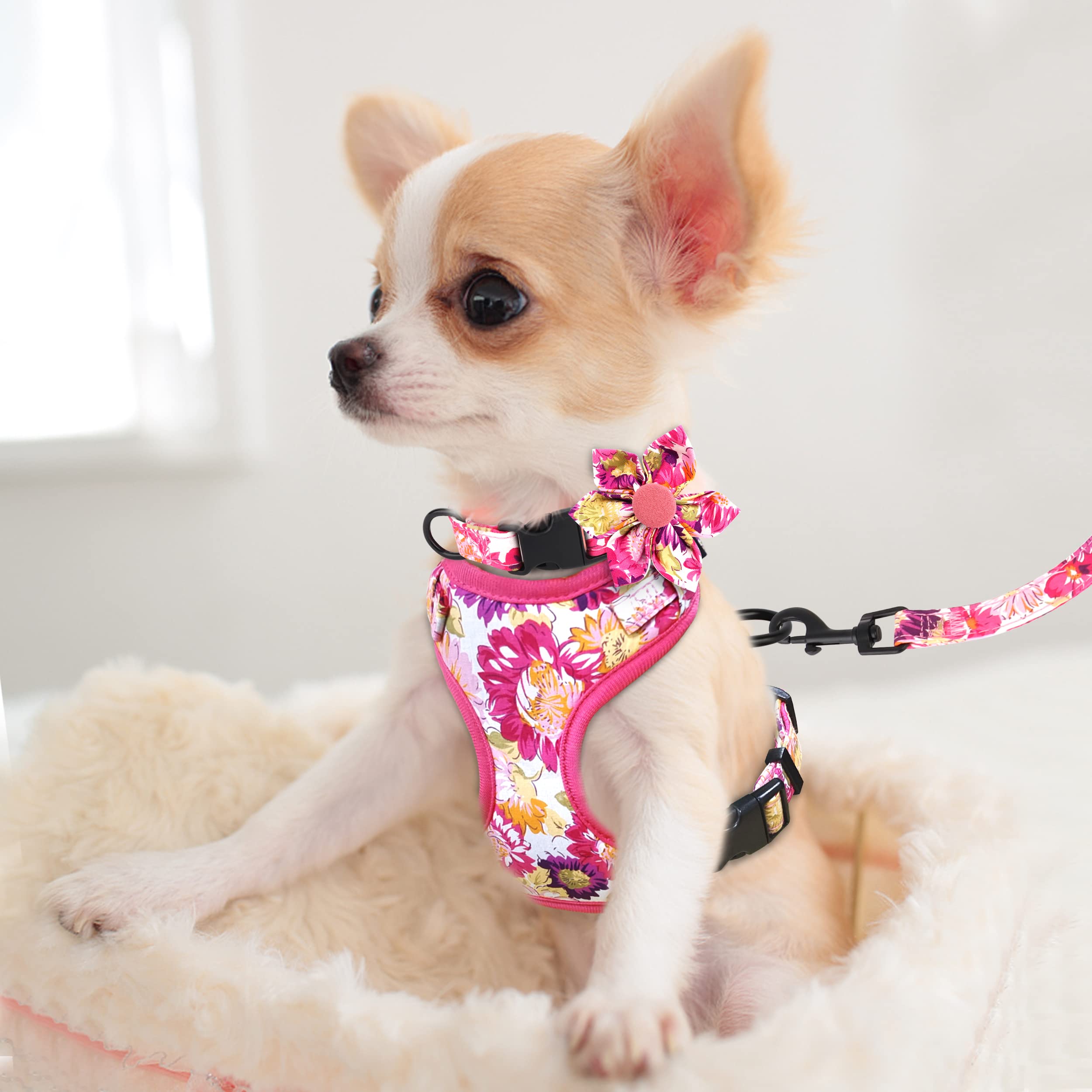 Beirui floral-green-leash-5ft—soft padded handle for controlled, comfortable strolls.