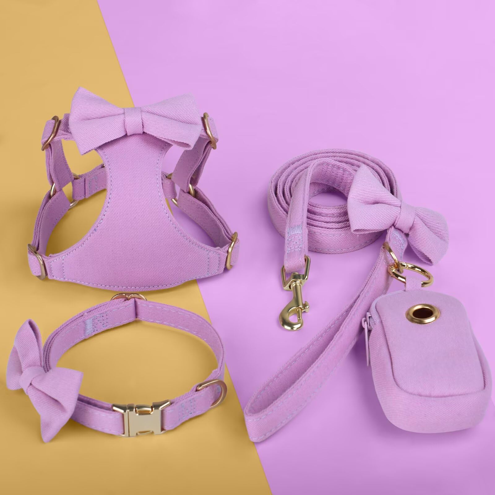 Beirui leash and collar set ready for everyday walking routines.
