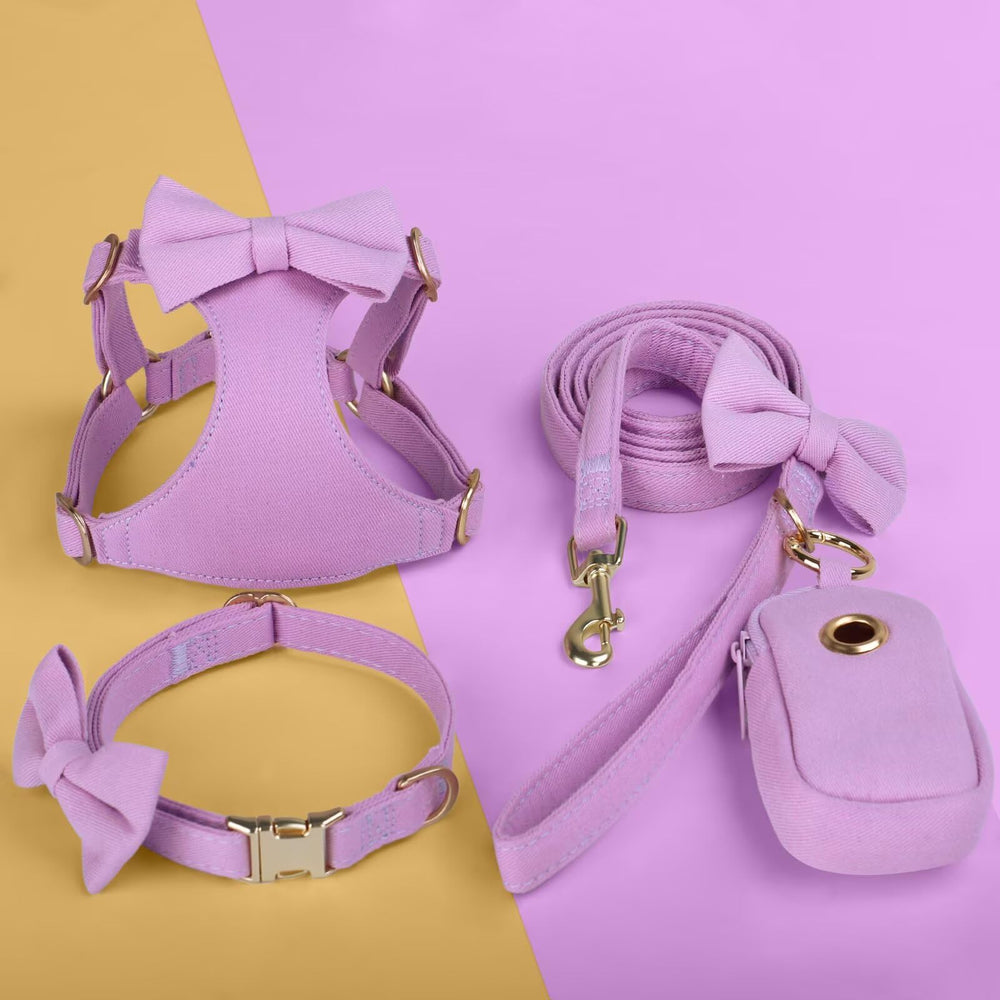Beirui leash and collar set ready for everyday walking routines.