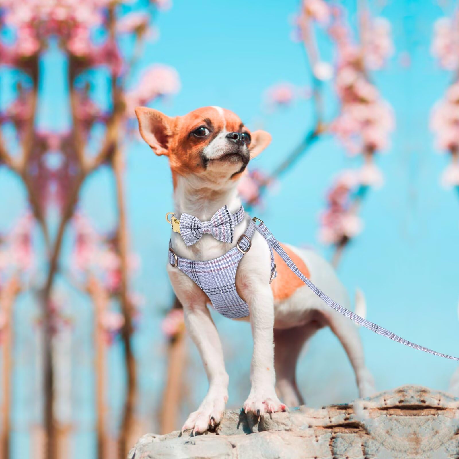 Beirui plaid design blue dog collar-leash set highlighting classic style