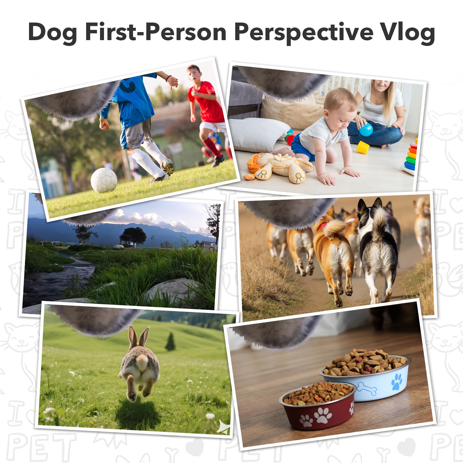 BEISLUO 120° lens captures wide scenes from a dog's view.
