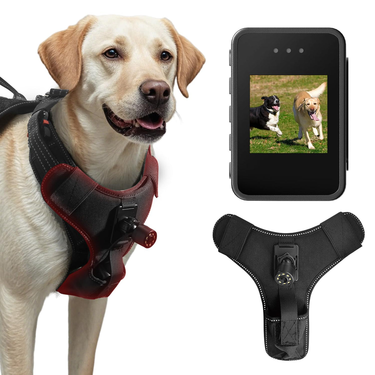 BEISLUO dog harness camera worn for immersive first-person footage.