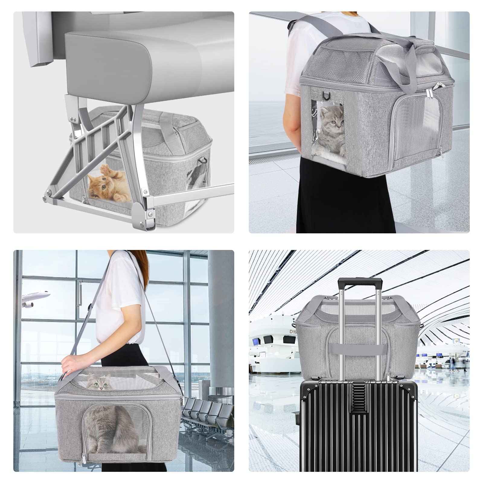 Bejibear adjustable shoulder straps with safety harness for secure carry.