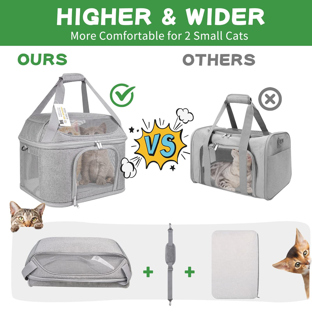 Bejibear soft-sided carrier folds flat for easy storage