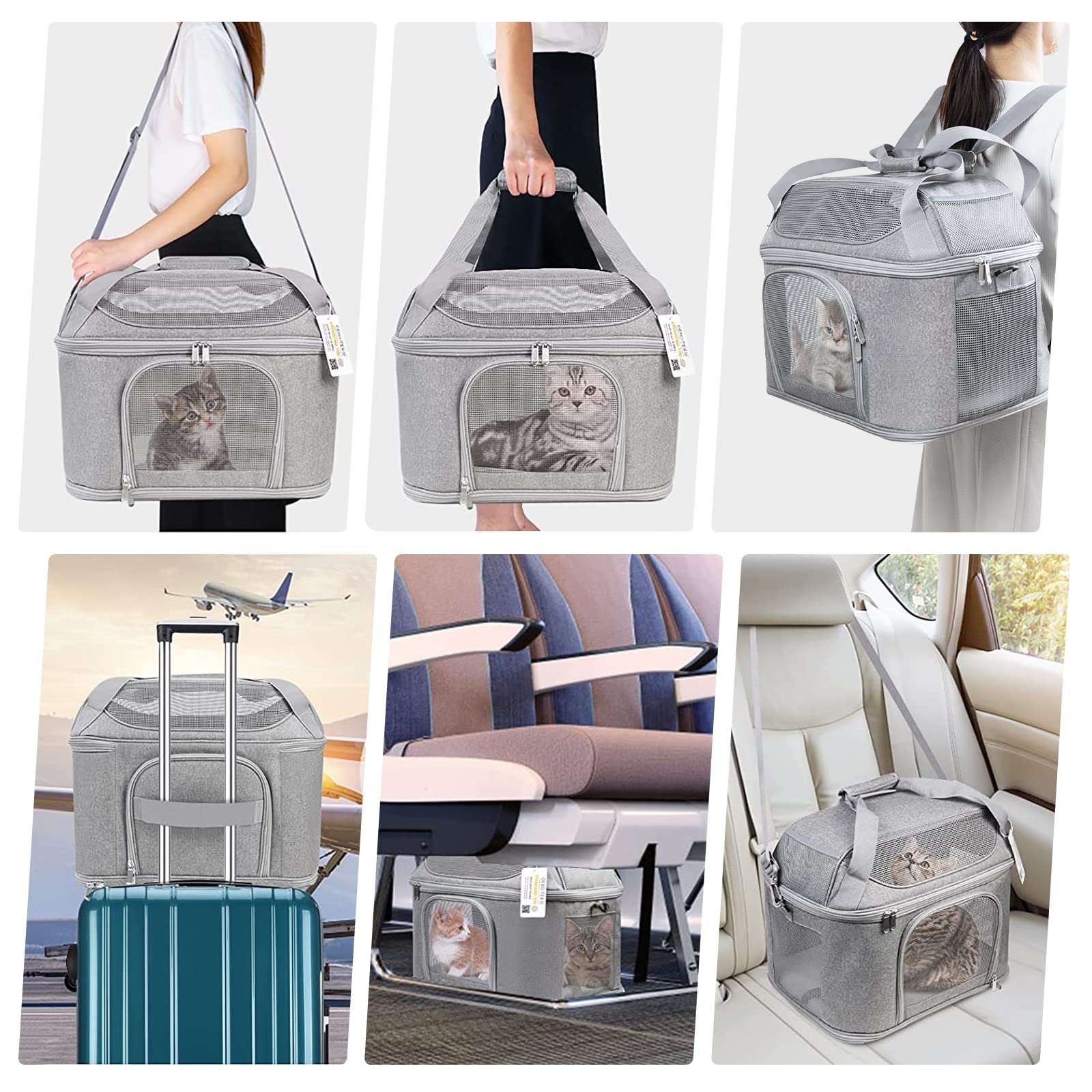 Bejibear cat carrier removable plush bed adds cozy rest for cats