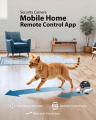 Belcore D8 dual-camera feeds provide a full 360-degree view.