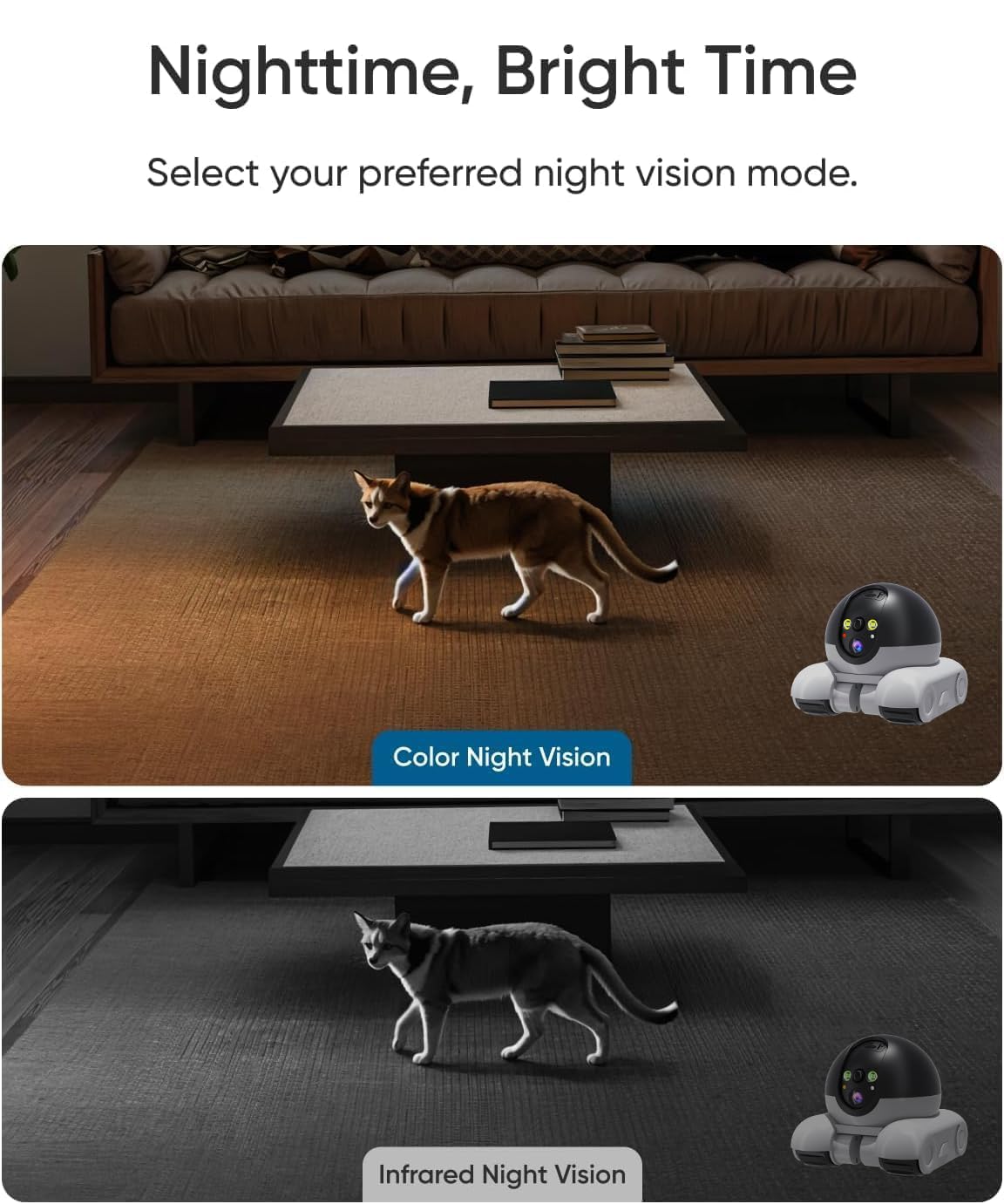 Belcore D8 indoor patrol monitors every room inside.