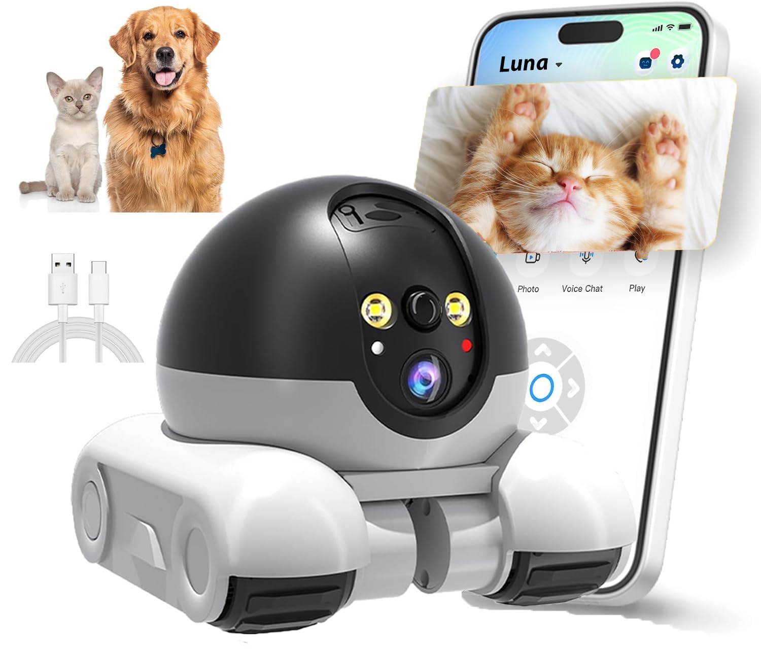 Belcore D8 pet camera enables remote viewing for quick check-ins.