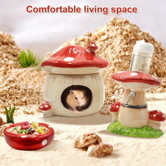 BELEATAL complete hamster accessory set supports a healthy, enriched habitat.
