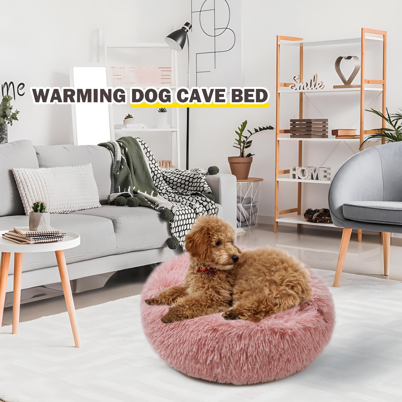 BELEEWILWON cat-bed-machine-wash makes cleanup quick after messes.