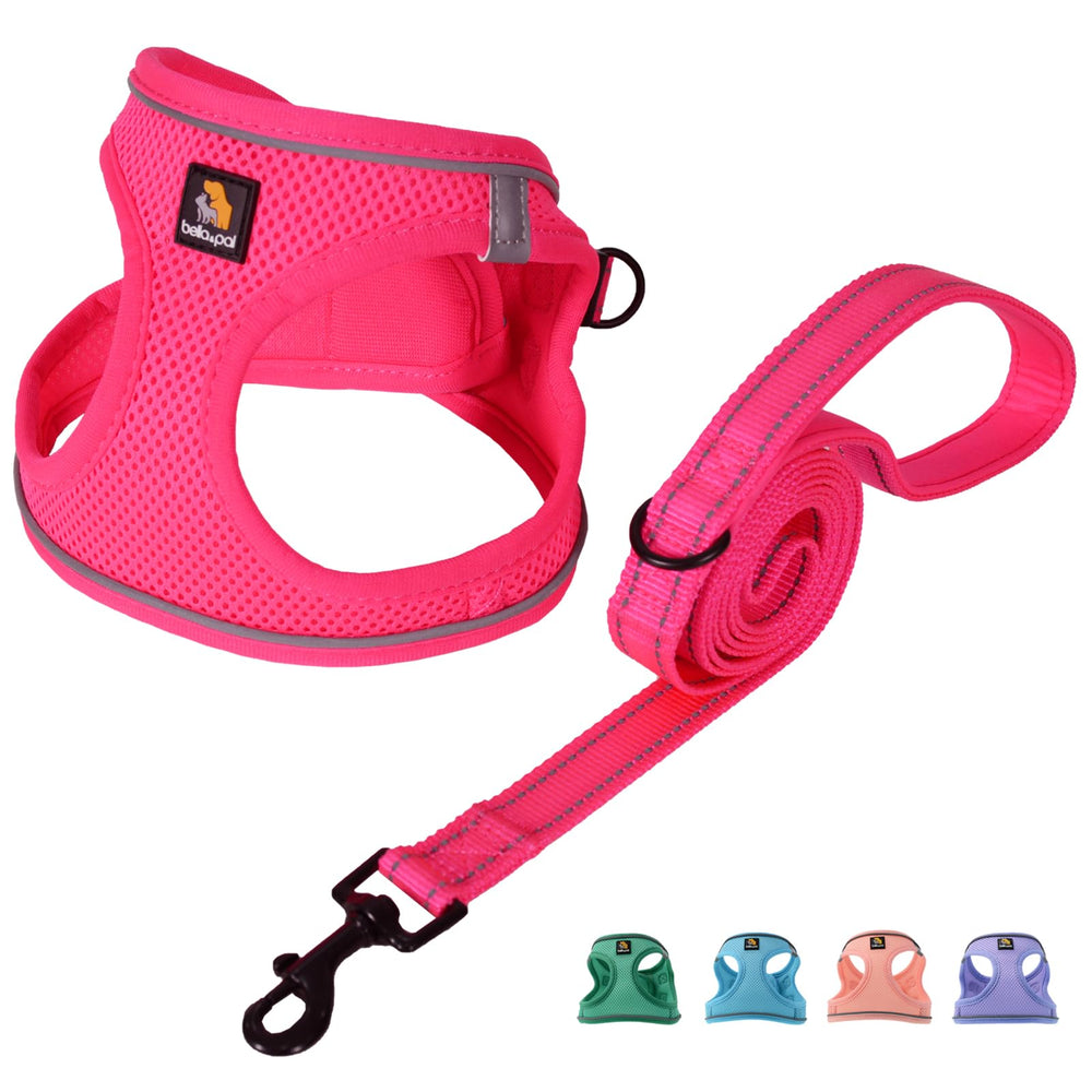 Arnés BELLA & PAL paso-entrada con malla transpirable para perro pequeño.