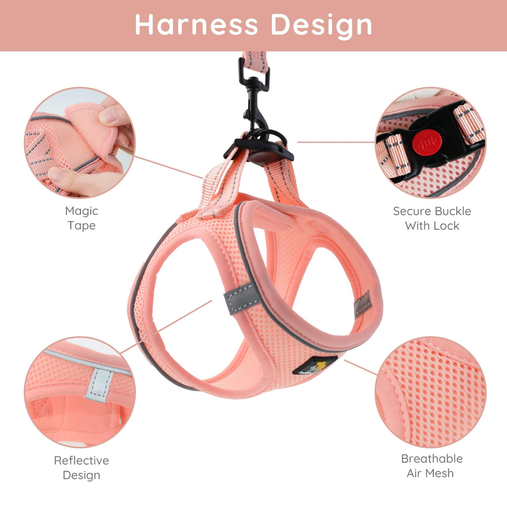 BELLA & PAL breathable air mesh dog harness keeping canine cool on walks