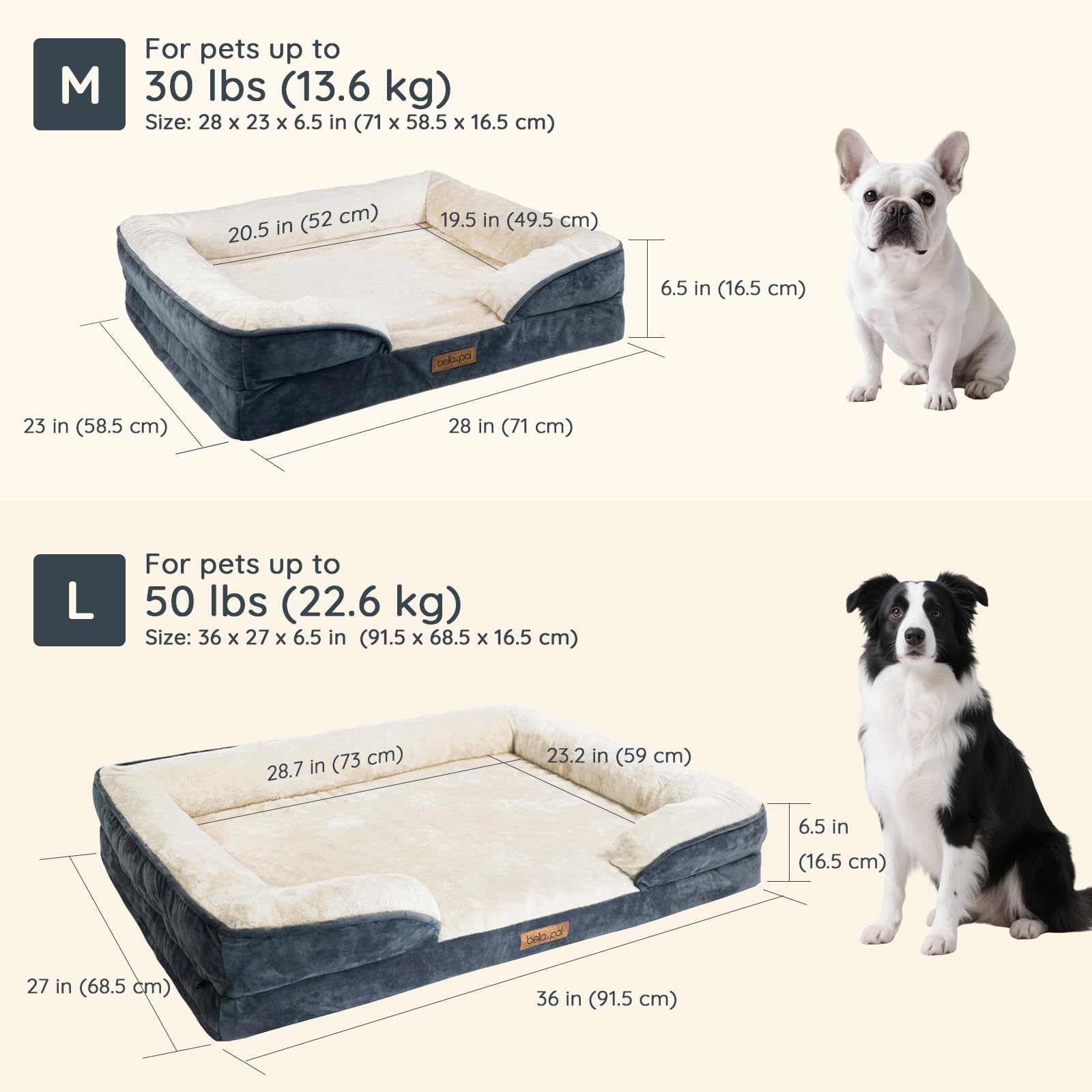 BELLA & PAL large 36x27x6.5 bed fits medium to large dogs comfortably.