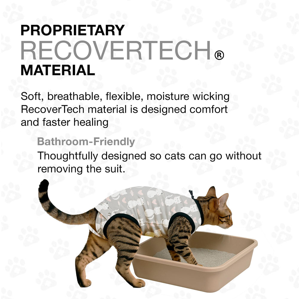 BellyGuard cat recovery suit anxiety-wrap-effect provides calming recovery support.