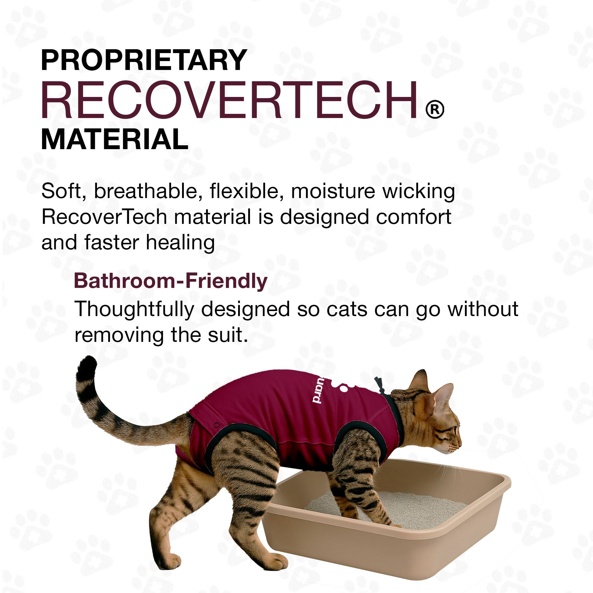 BellyGuard cat recovery suit shown during nap, suggesting calm healing and relaxed cats.