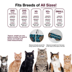 BellyGuard cat recovery suit close-up highlighting stitching and durable protection for wounds.