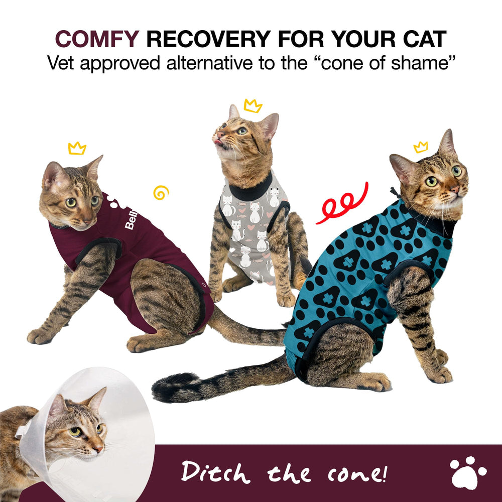 BellyGuard cat recovery suit on female cat, secure fit for healing and mobility.