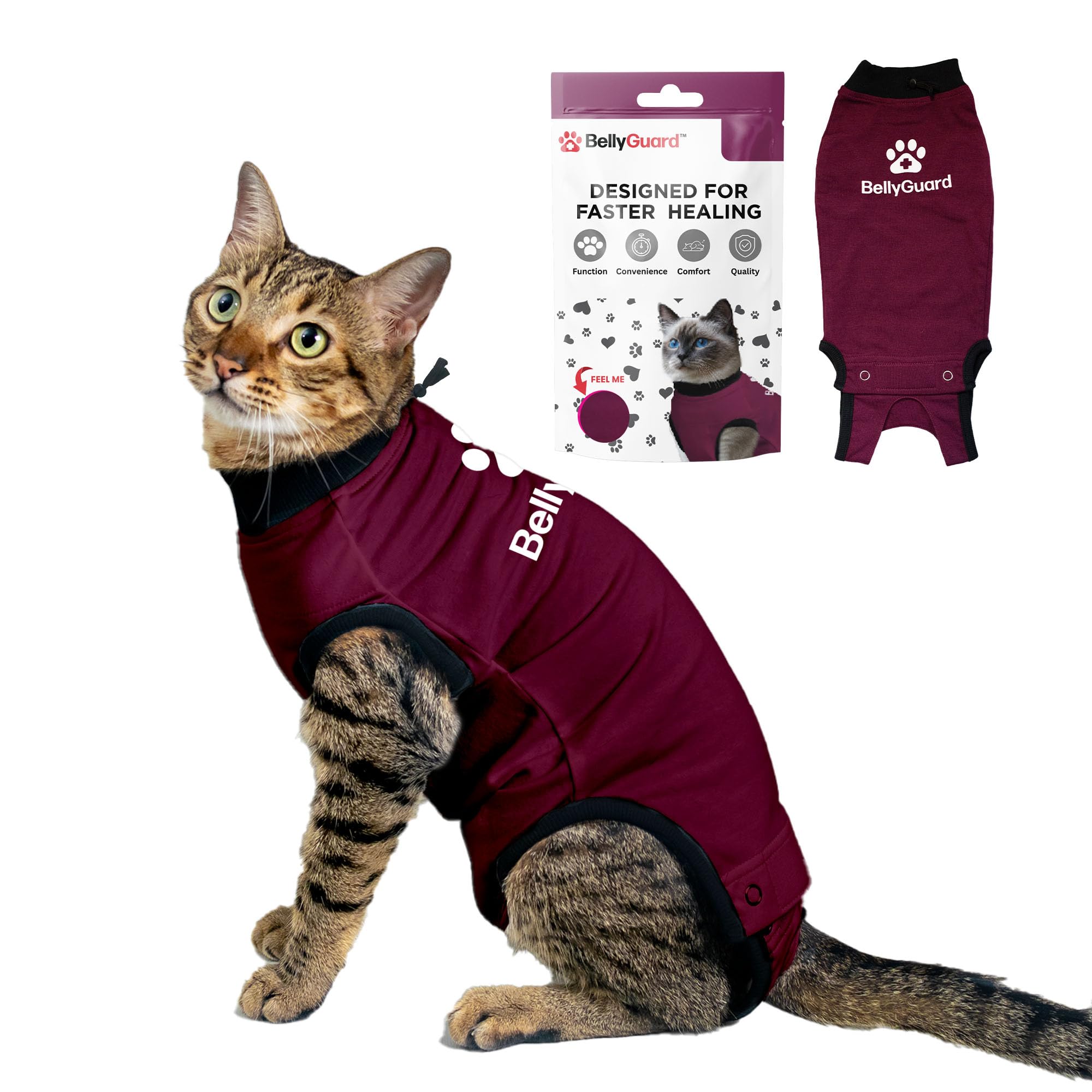 BellyGuard cat recovery suit on cat showing gentle post-surgery protection and comfort.