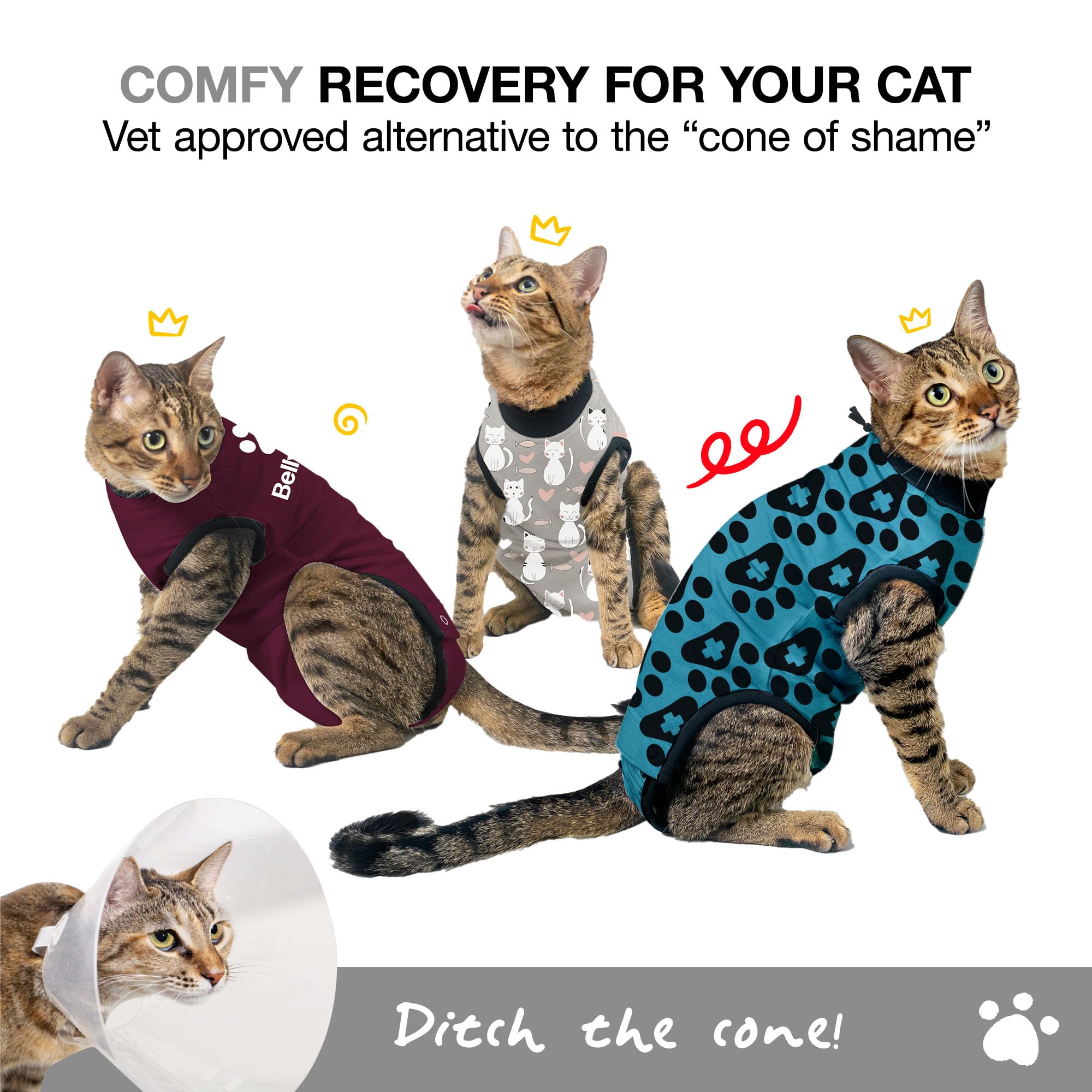 BellyGuard cat recovery suit protected-surgical-area shields healing sites.