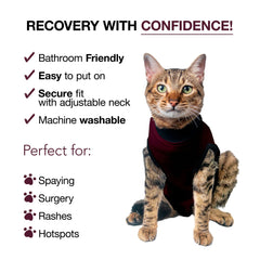 BellyGuard soft fabric recovery suit emphasizes comfortable, cozy wear during rest and recovery.