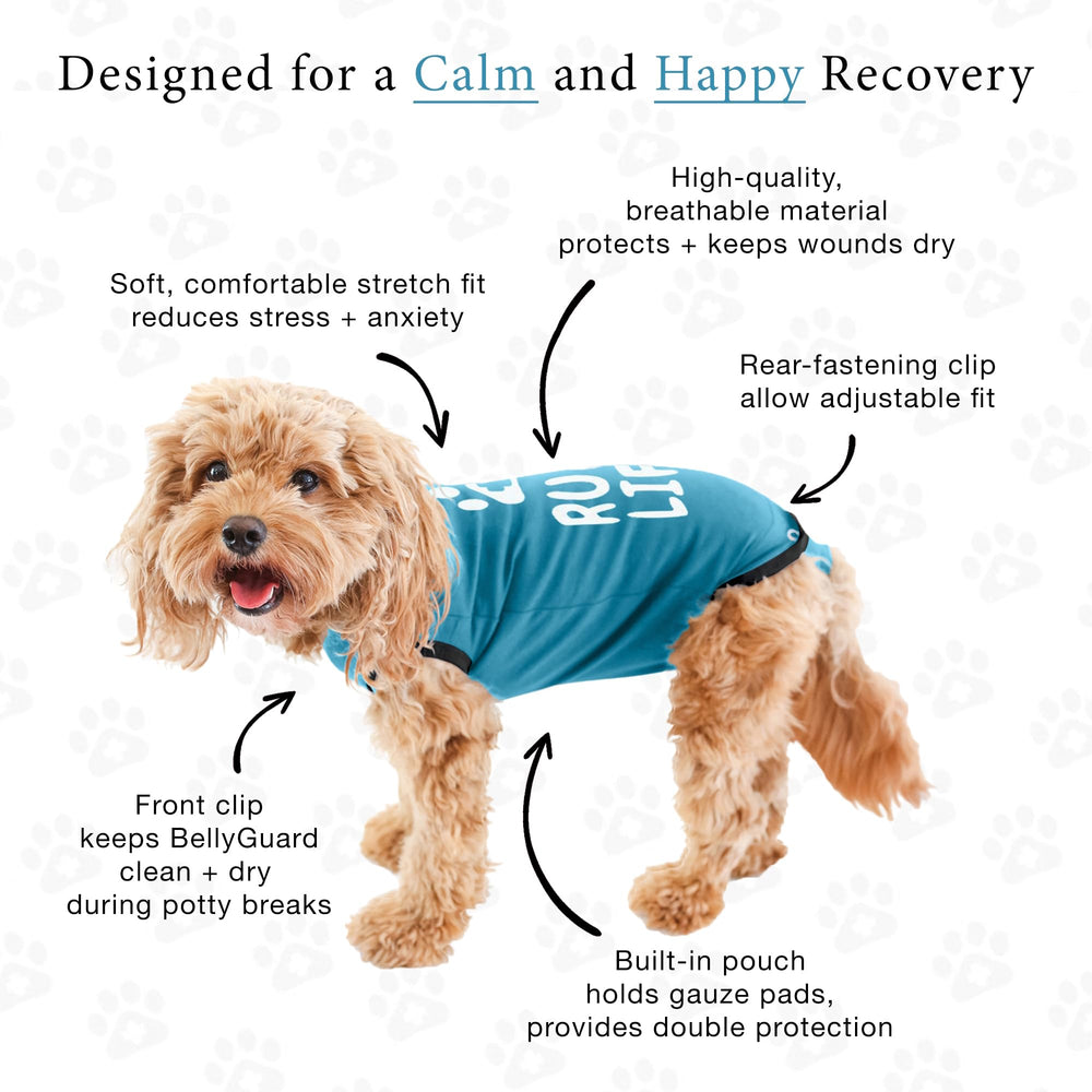 BellyGuard dog recovery suit easy potty break design for rolling and secure flaps.