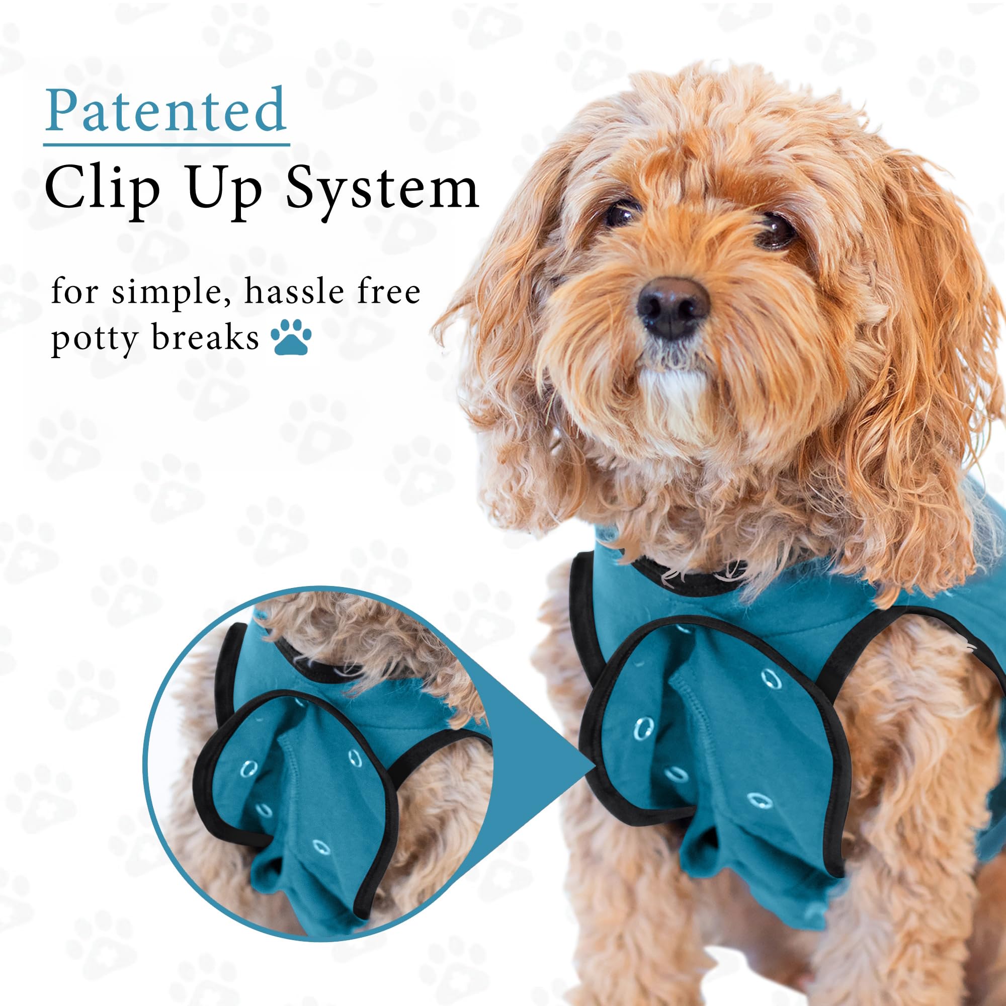 BellyGuard easy-closures image demonstrates quick, secure flap buttons for potty breaks