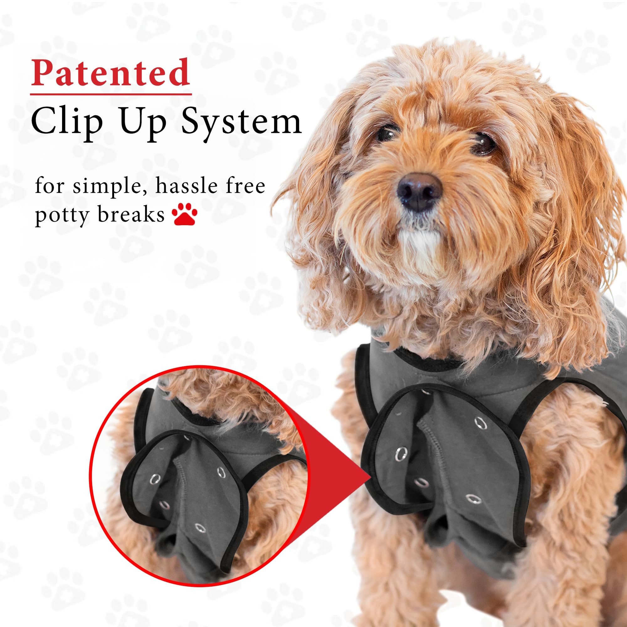 BellyGuard dog surgery recovery suit easy-on design speeds dressing and gentle fit