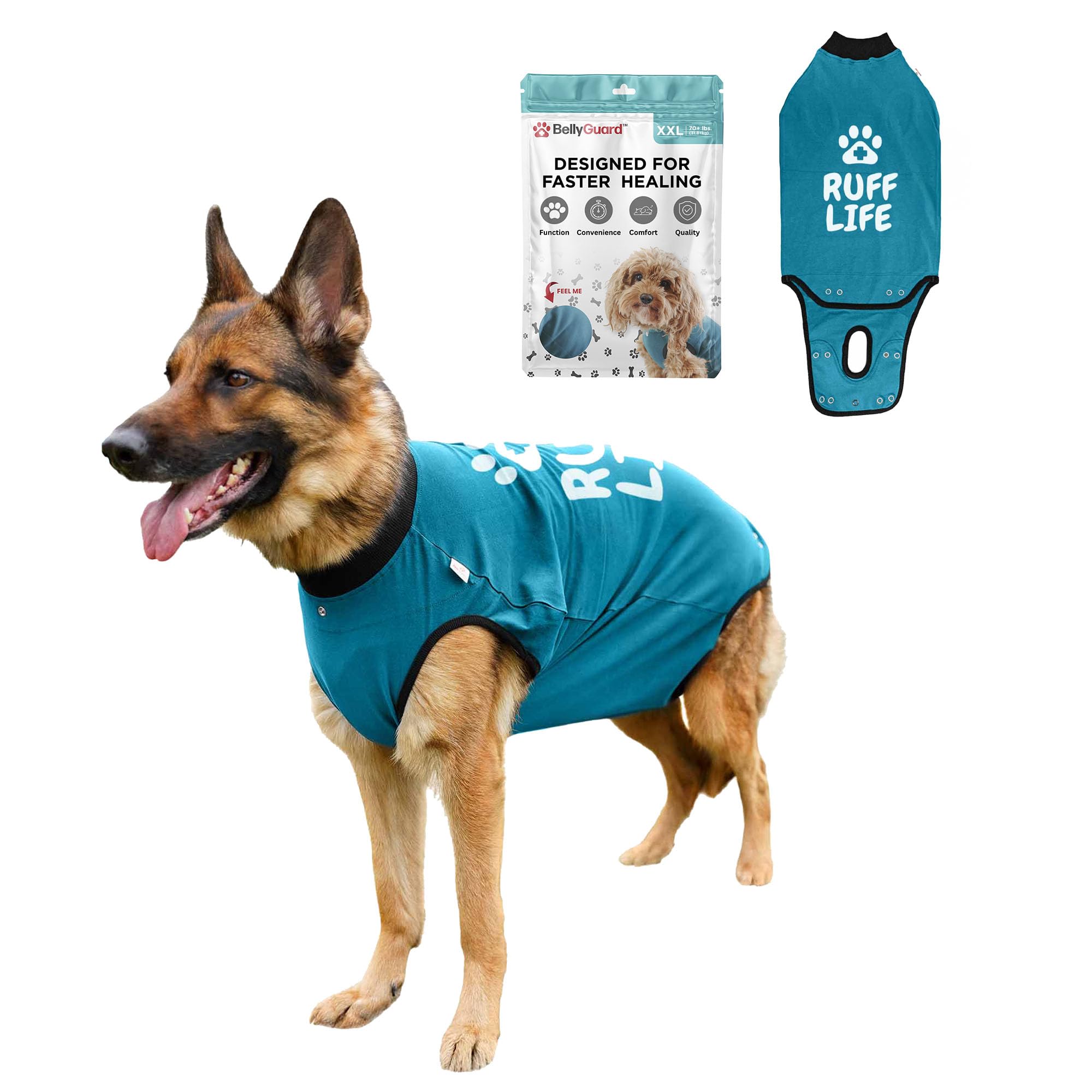 BellyGuard dog surgery recovery suit front view promotes comfortable post-op wear