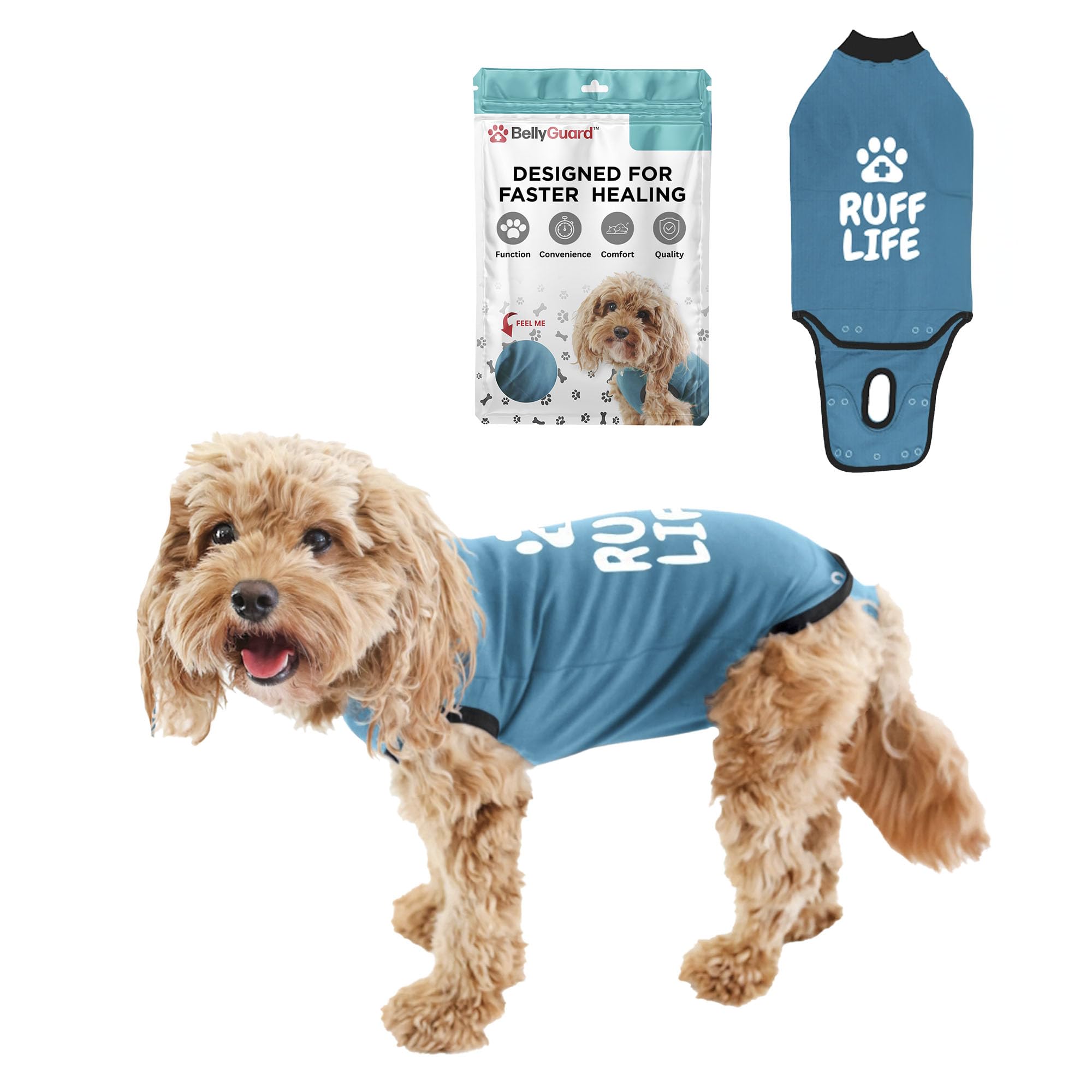BellyGuard dog surgery recovery suit front view protects stitches and supports calm post-op comfort.