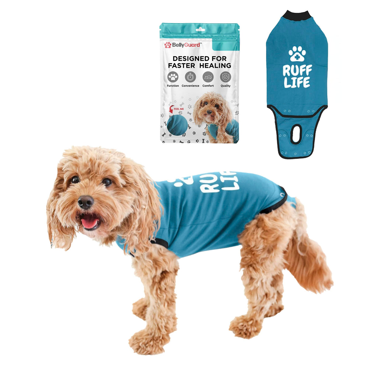 BellyGuard dog surgery recovery suit front view protects stitches and supports calm post-op comfort.