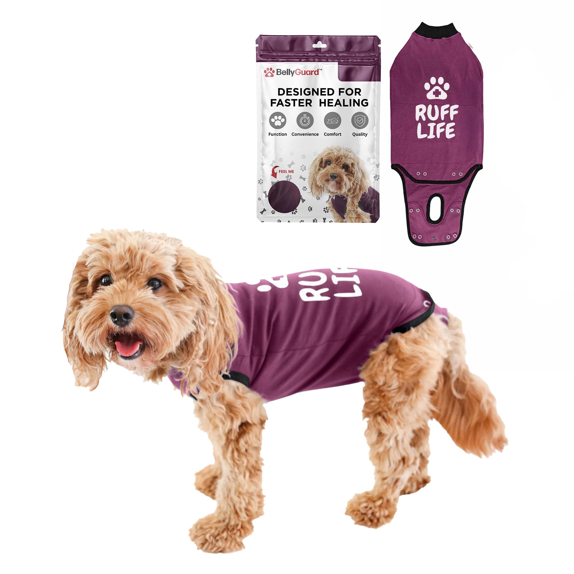BellyGuard dog surgery recovery suit front view protects stitches while allowing movement.