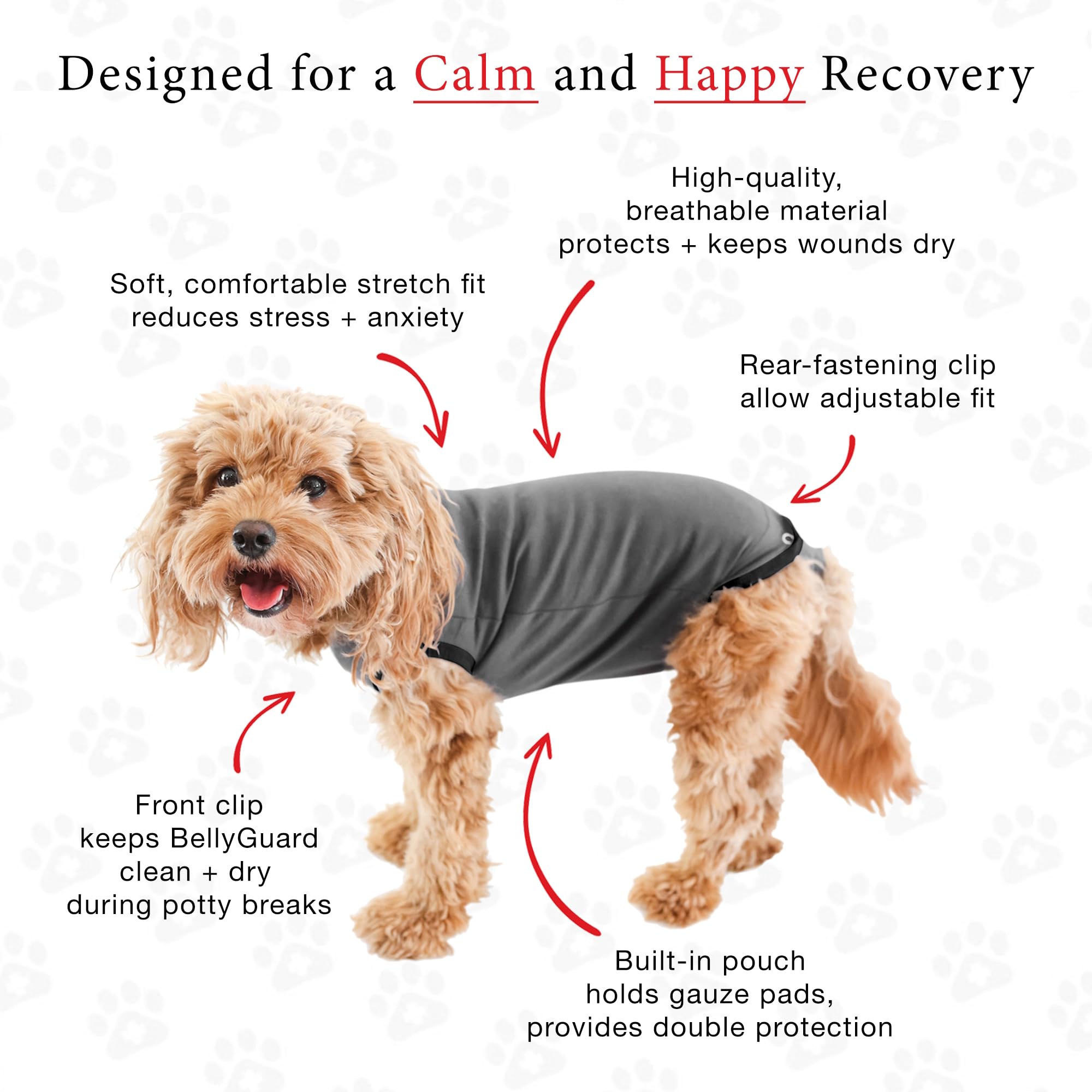 BellyGuard dog-surgery-recovery-suit rolled for potty breaks with flap access