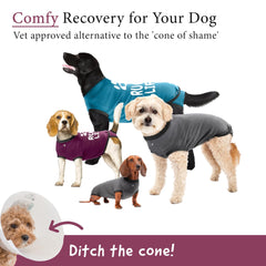 BellyGuard dog surgery recovery suit side fit shows easy wear and secure rear closure