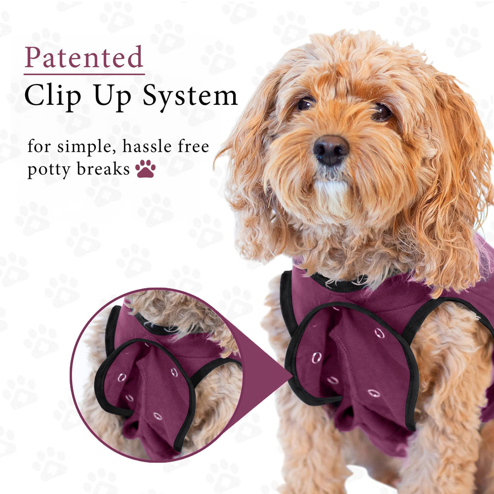 BellyGuard dog surgery recovery suit washable-material demonstrates durable, cozy fabric for daily wear
