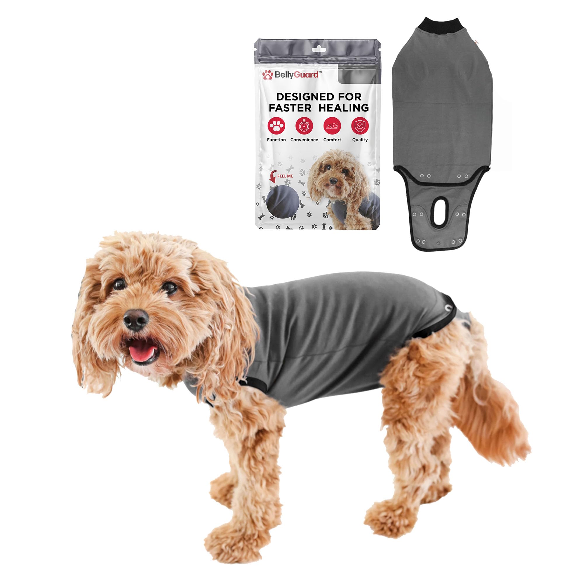 BellyGuard dog surgery recovery suit wear shows comfortable post-op coverage for stitches.