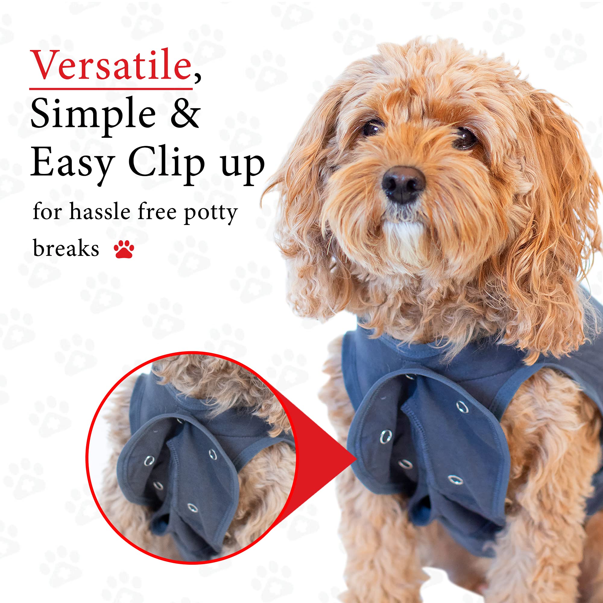 BellyGuard dog surgery recovery suit worn-in-use demonstrates freedom to move and eat