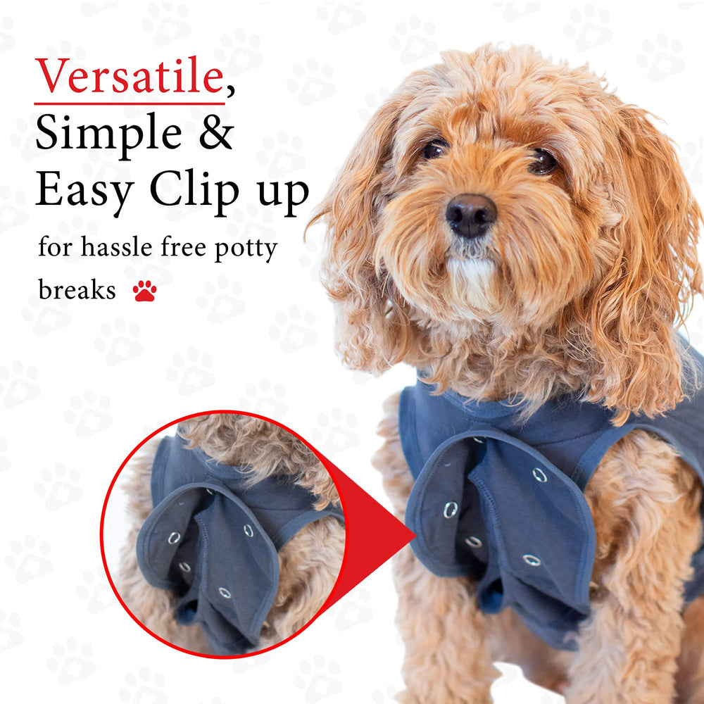BellyGuard dog surgery recovery suit worn-in-use demonstrates freedom to move and eat