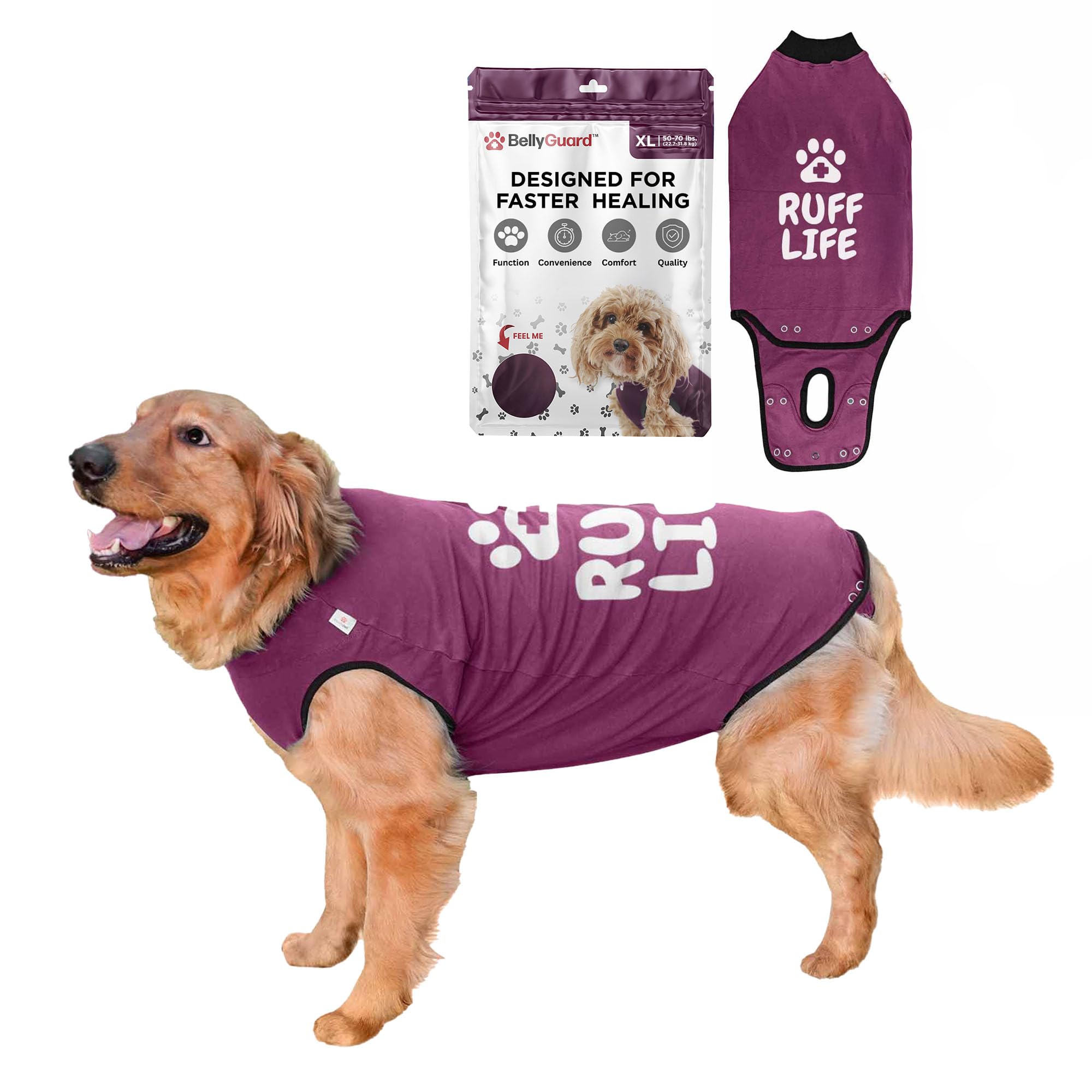BellyGuard surgery recovery suit worn on a dog for post-op protection