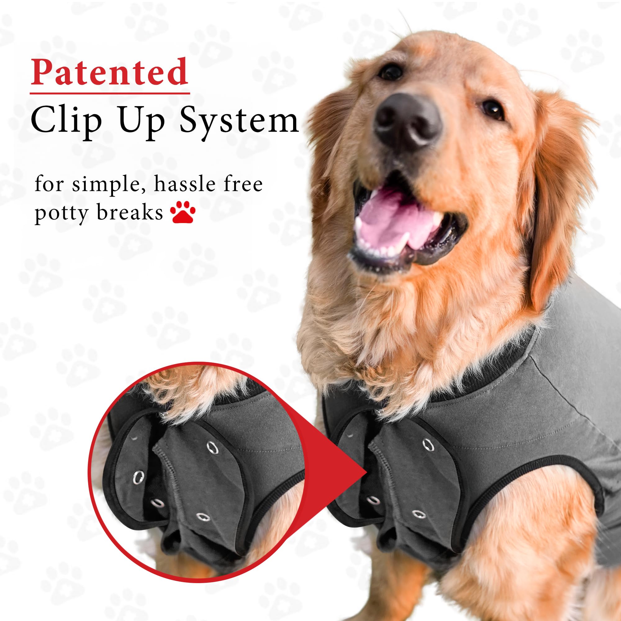 BellyGuard lightweight stretch-fit cotton suit on dog, designed to reduce stress during recovery.