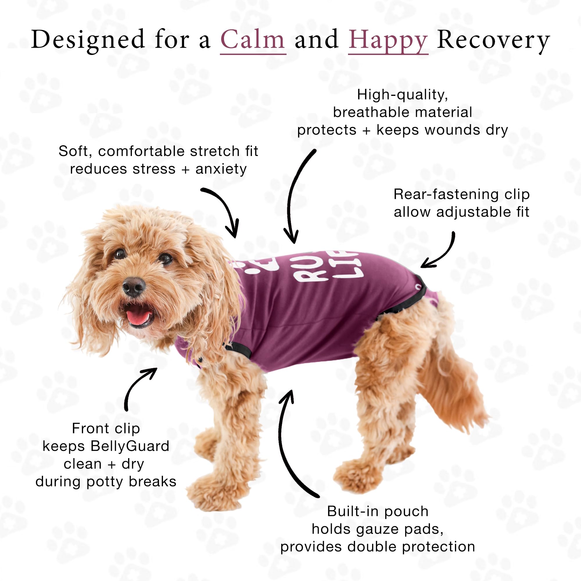 BellyGuard post-op dog suit easy-closure demonstrates quick on/off for fuss-free use.