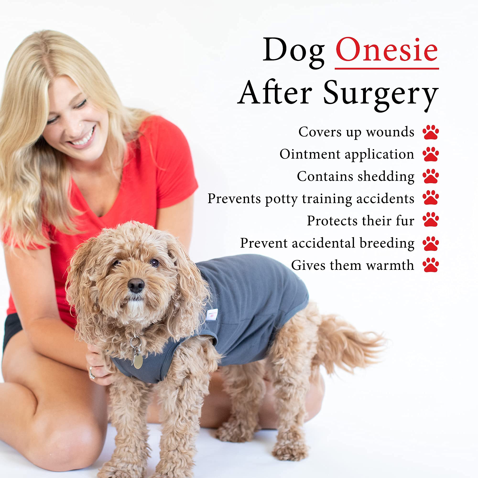 BellyGuard recovery-suit worn by a calm dog, reducing post-op stress.