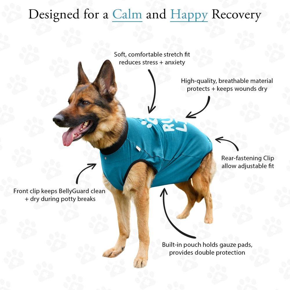 BellyGuard recovery suit toilet flap closure enables easy potty breaks