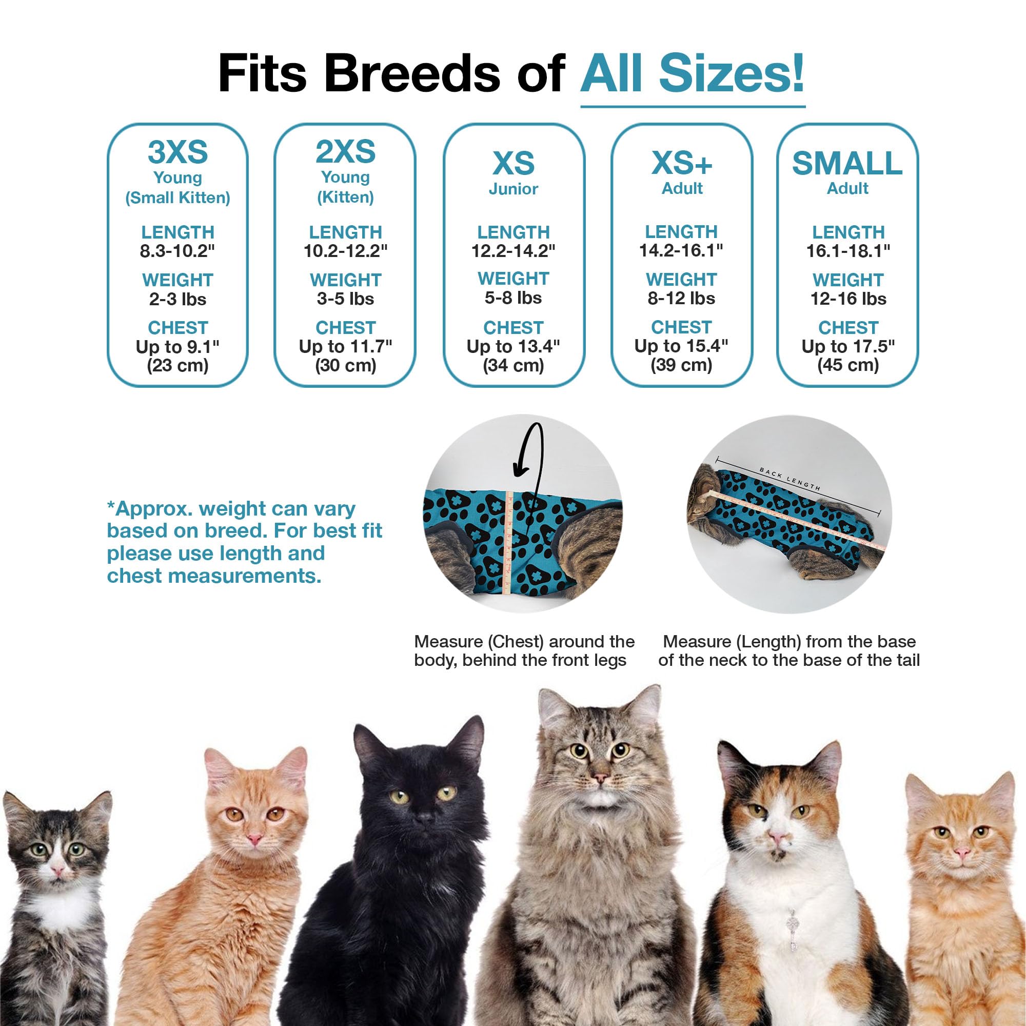 BellyGuard-spay-suit-female-friendly-fit: easy potty access and warm comfort.